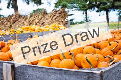 WIN a £50 Gift Card in Our Hallowe'en Prize Draw