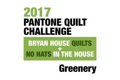 2017 Pantone Quilt Challenge