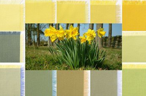 SAVE 20% on Yellows and Greens